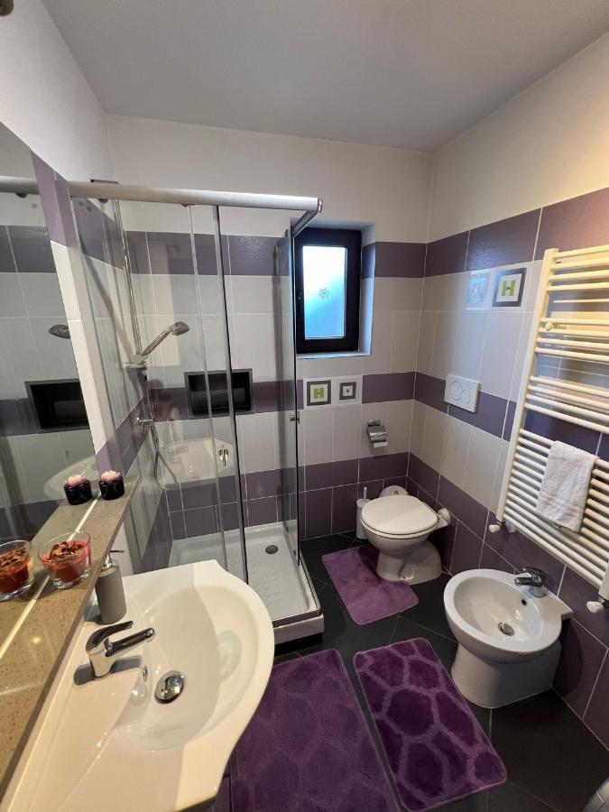 Crina Apartment