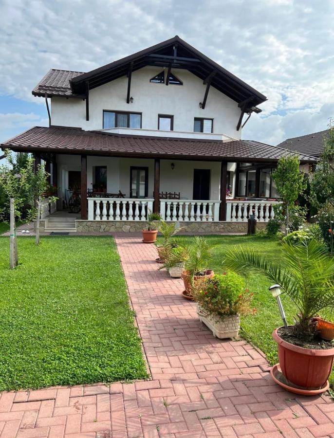 Crina Apartment Risnov